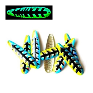 Chartreuse Coyote - egstd