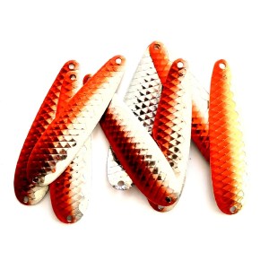 Silver Salmon 2 bdstd