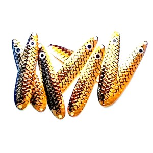 Golden Shiner slm