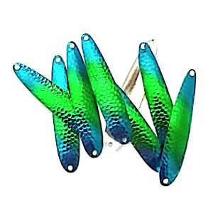 Blue Green Parrot slm