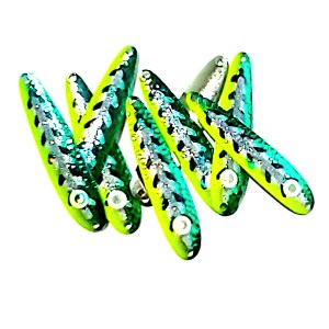 Silver Shad cslm