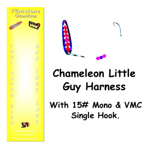 Chameleon Little Guy Harness They Catch Fish and They Last